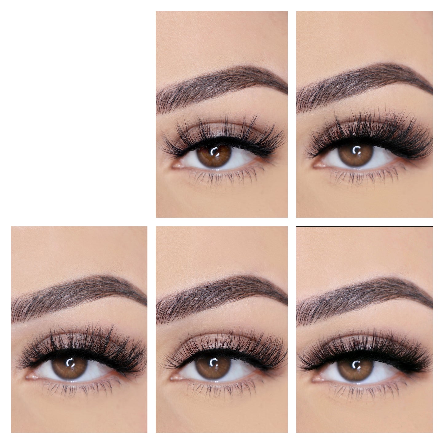 Bestseller Set (5 Lashes)